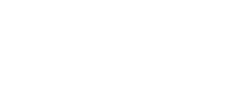 Liliput Logo